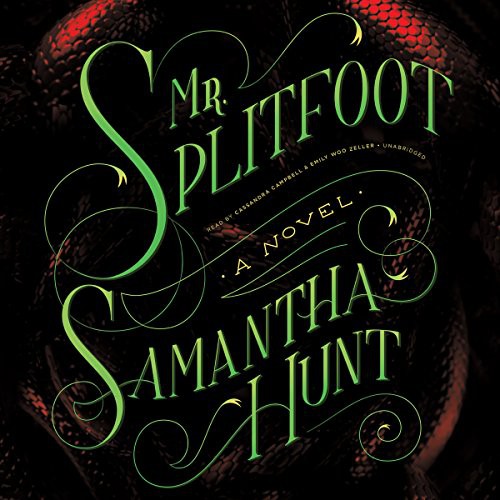Cover for Mr. Splitfoot