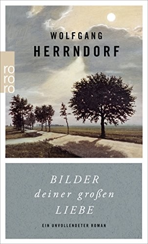 Cover for Bilder deiner grossen Liebe