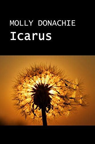 Cover for ICARUS