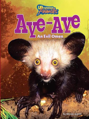 Cover for Aye-Aye