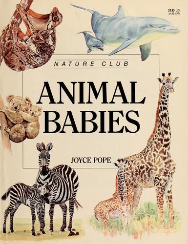 Cover for Animal babies