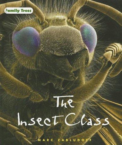 Cover for The insect class