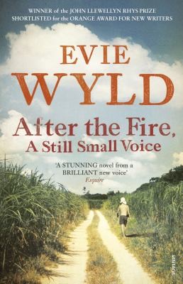 Cover for After the Fire, A Still Small Voice