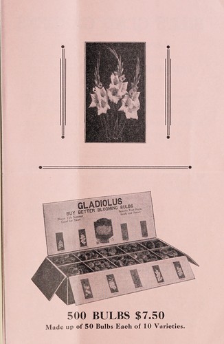 Cover for Fall wholesale gladiolus list