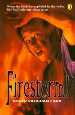 Cover for Firestorm!.