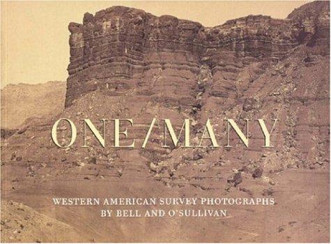 Cover for One/Many