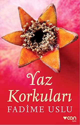 Cover for YAZ KORKULARI