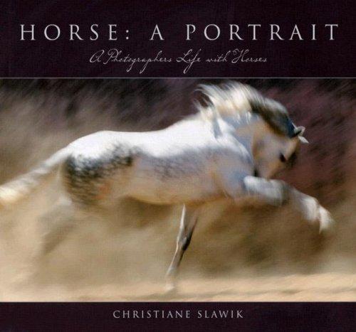 Cover for Horse, a Portrait