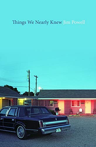 Cover for Things We Nearly Knew