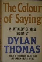 Cover for The colour of saying