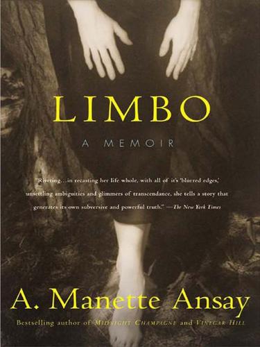 Cover for Limbo