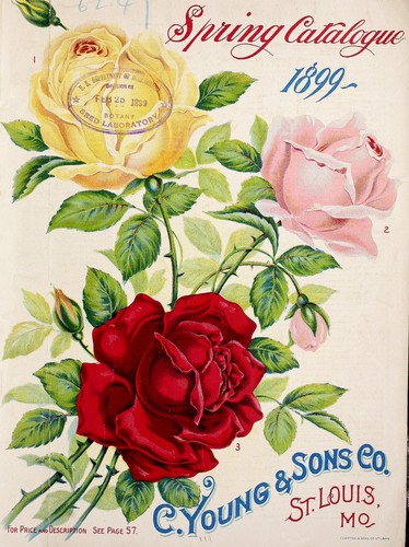 Cover for Spring catalogue