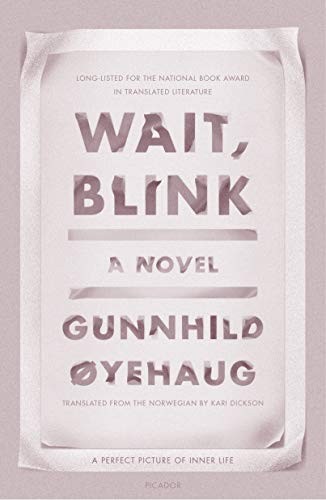 Cover for Wait, Blink : A Perfect Picture of Inner Life
