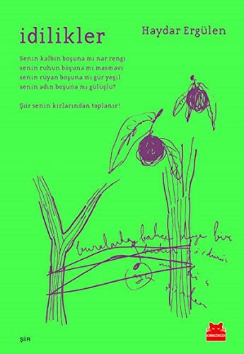Cover for İdilikler