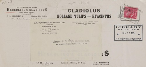 Cover for Gladiolus, Holland tulips, hyacinths