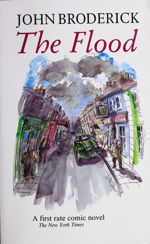 Cover for The flood