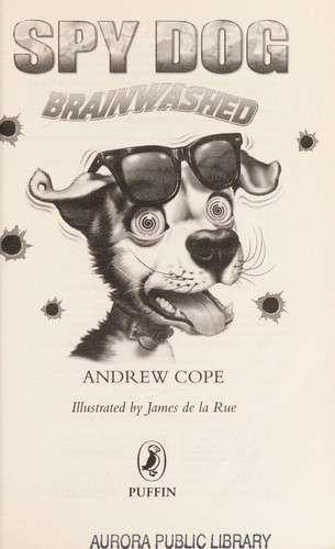Cover for Brainwashed