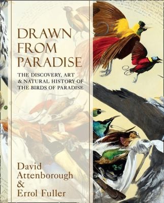 Cover for Drawn From Paradise The Discovery Art And Natural History Of The Birds Of Paradise