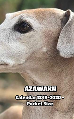 Cover for Azawakh Calendar 2019-2020 - Pocket Size