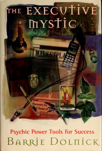 Cover for The executive mystic