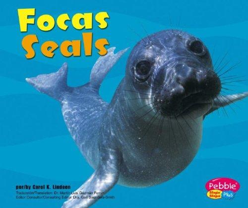 Cover for Focas/Seals