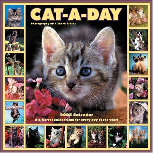 Cover for Cat-A-Day 2005 Calendar