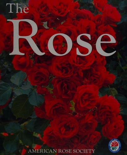 Cover for The rose