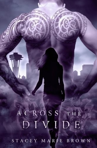 Cover for Across the Divide