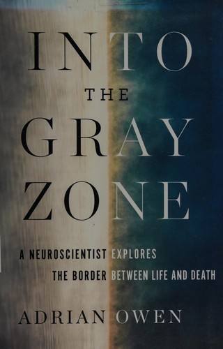 Cover for Into the gray zone