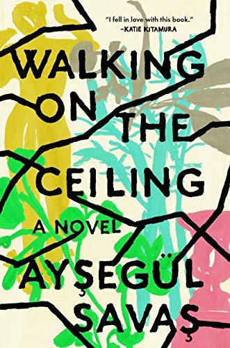 Cover for Walking on the Ceiling