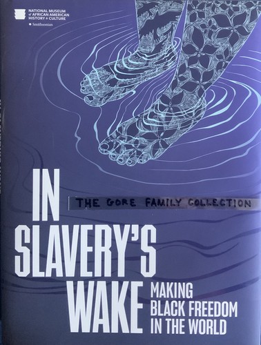 Cover for In Slavery's Wake