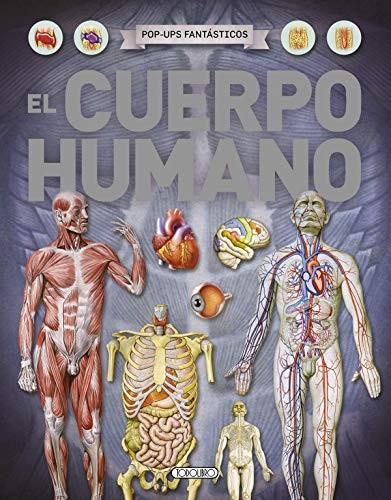 Cover for El cuerpo humano