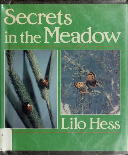 Cover for Secrets in the meadow