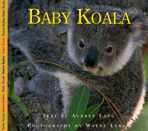 Cover for Baby Koala (Nature Babies)