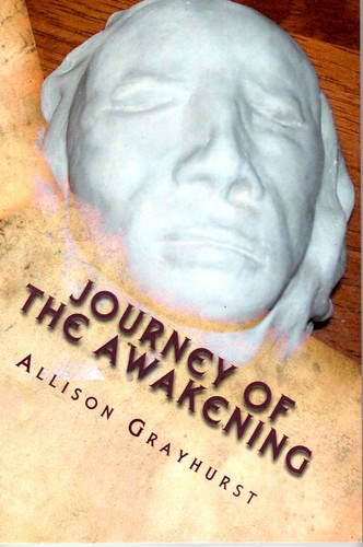 Cover for Journey of the Awakening