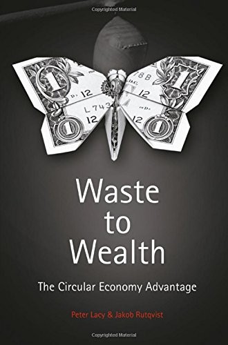 Cover for Waste to Wealth