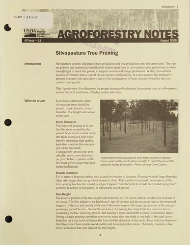 Cover for Silvopasture tree pruning