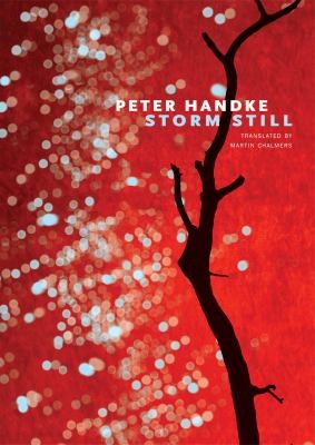 Cover for Storm Still