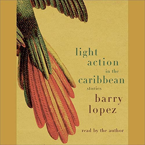 Cover for Light Action in the Caribbean