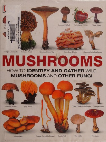 Cover for Mushrooms