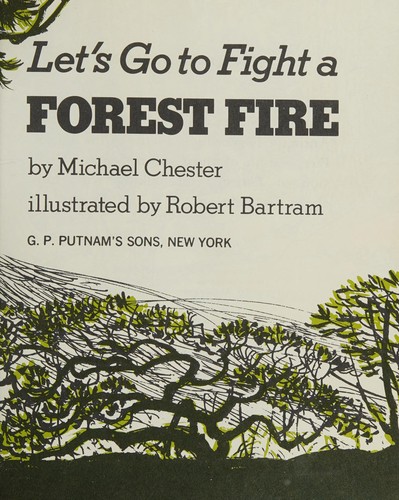 Cover for Let's go to fight a forest fire