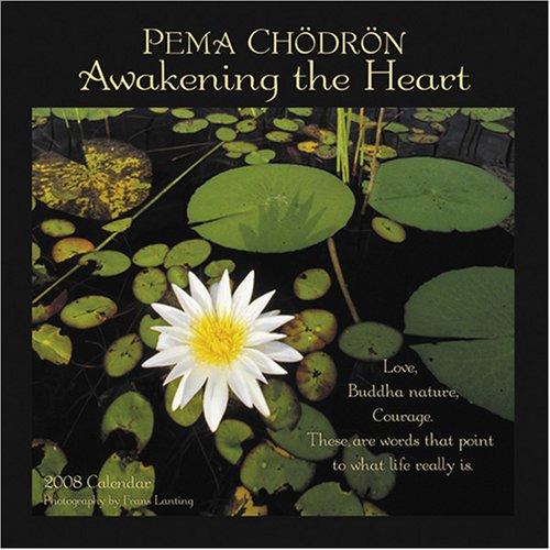 Cover for Pema Chodron