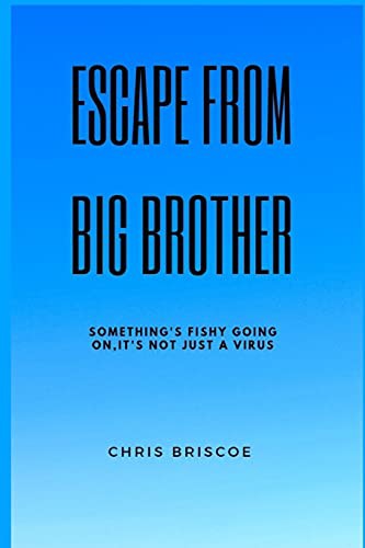 Cover for Escape Big Brother