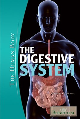 Cover for The digestive system
