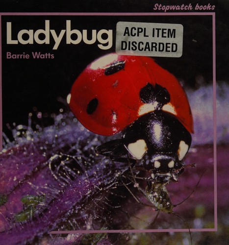 Cover for Ladybug
