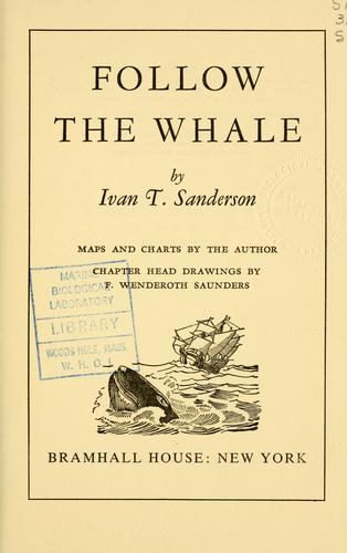 Cover for Follow the whale.