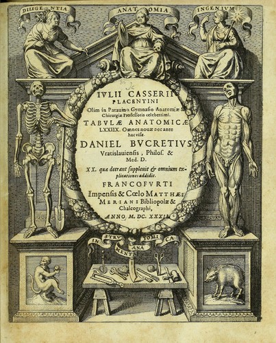 Cover for Tabulae anatomicae LXXIIX