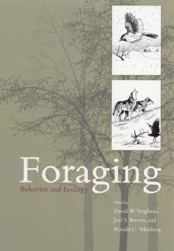 Cover for Foraging
