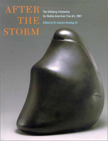 Cover for After the Storm