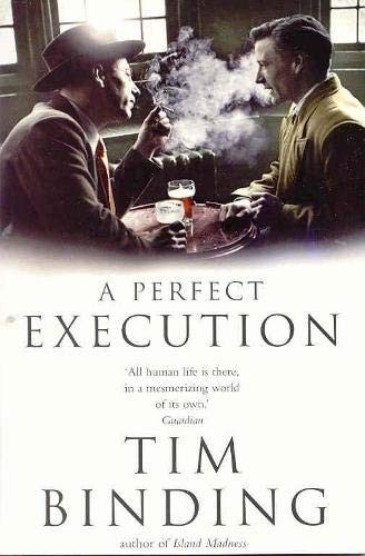 Cover for A Perfect Execution